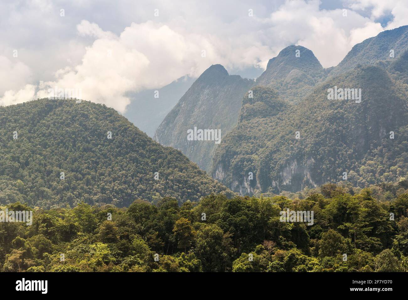 Montagnes karstiques, Mulu, Malaisie Banque D'Images