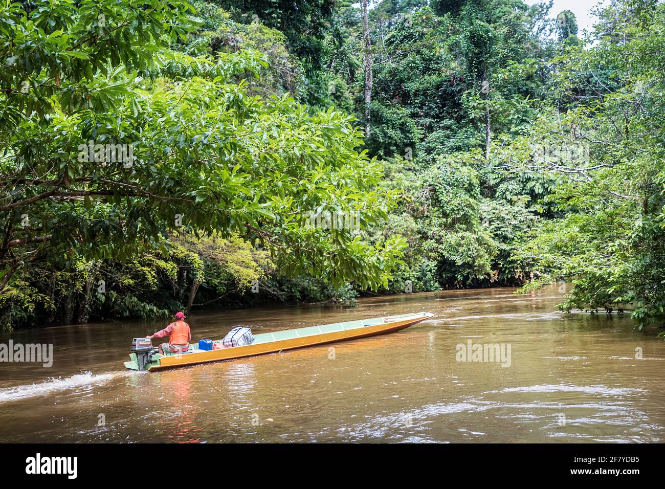 Voyagez en bateau sur la rivière Melinau, Mulu, Malaisie Banque D'Images