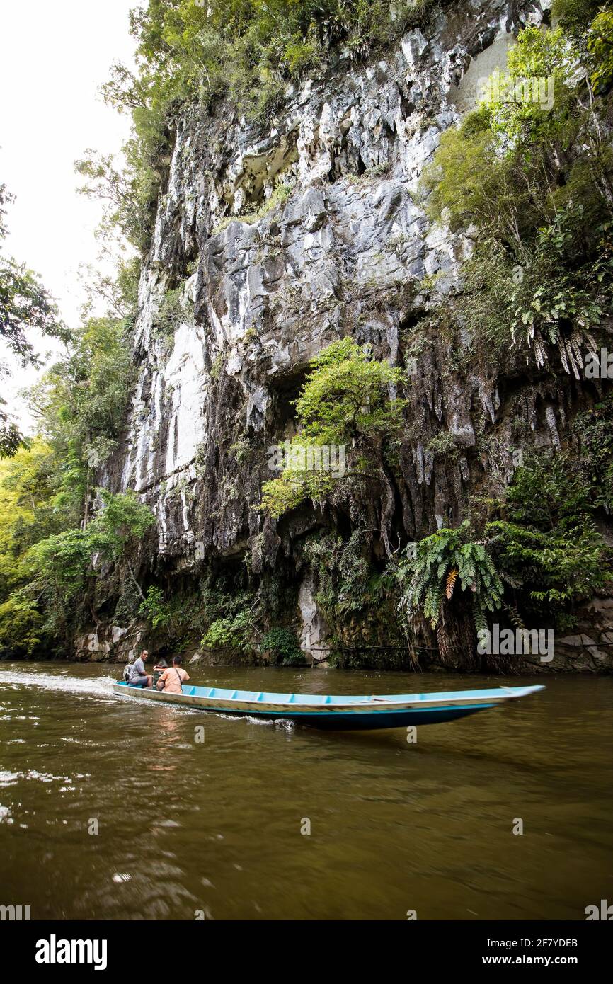 Voyagez en bateau sur la rivière Melinau, Mulu, Malaisie Banque D'Images