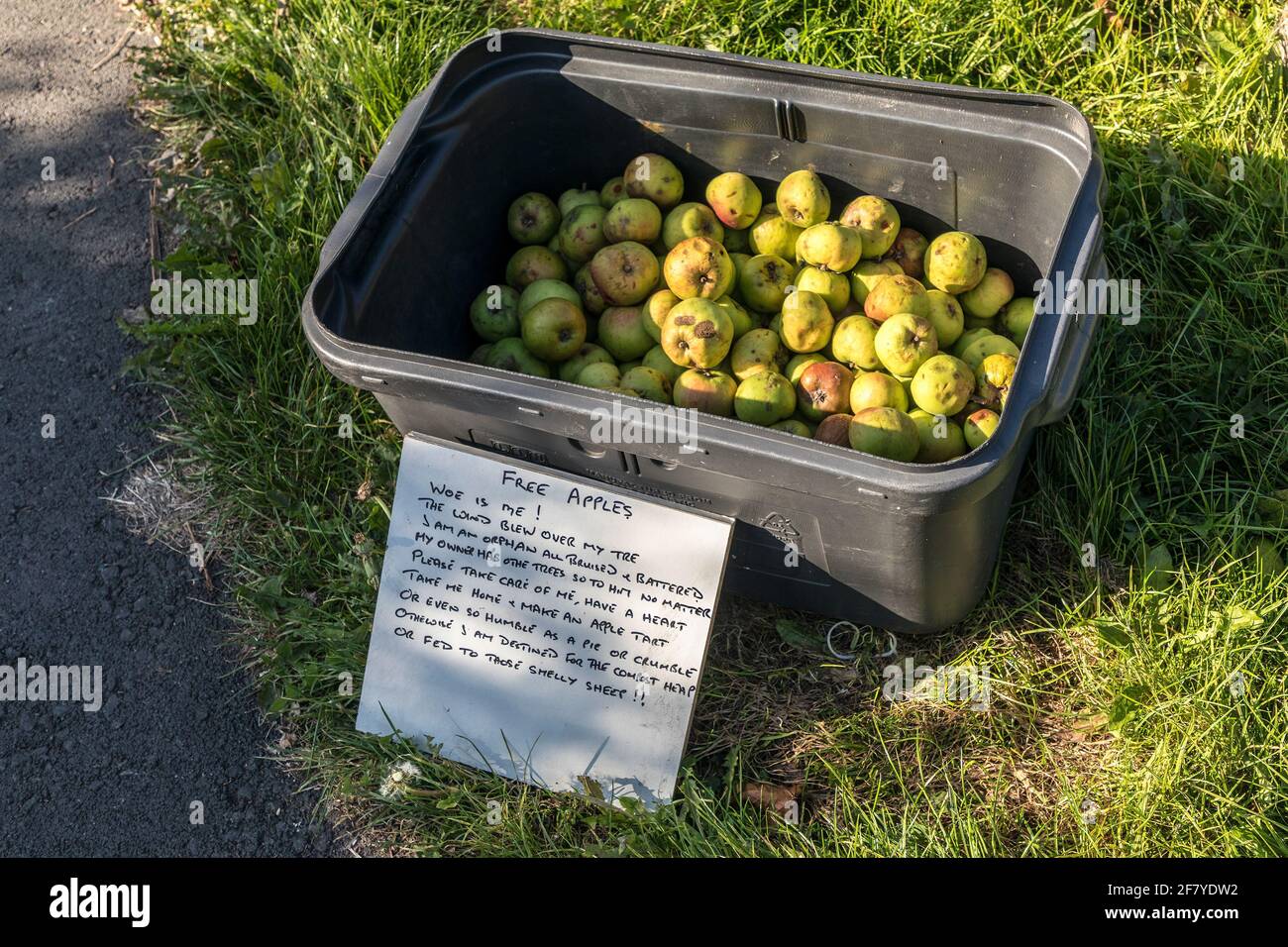Pommes gratuites offertes au public à côté de PATH, pays de Galles, Royaume-Uni Banque D'Images