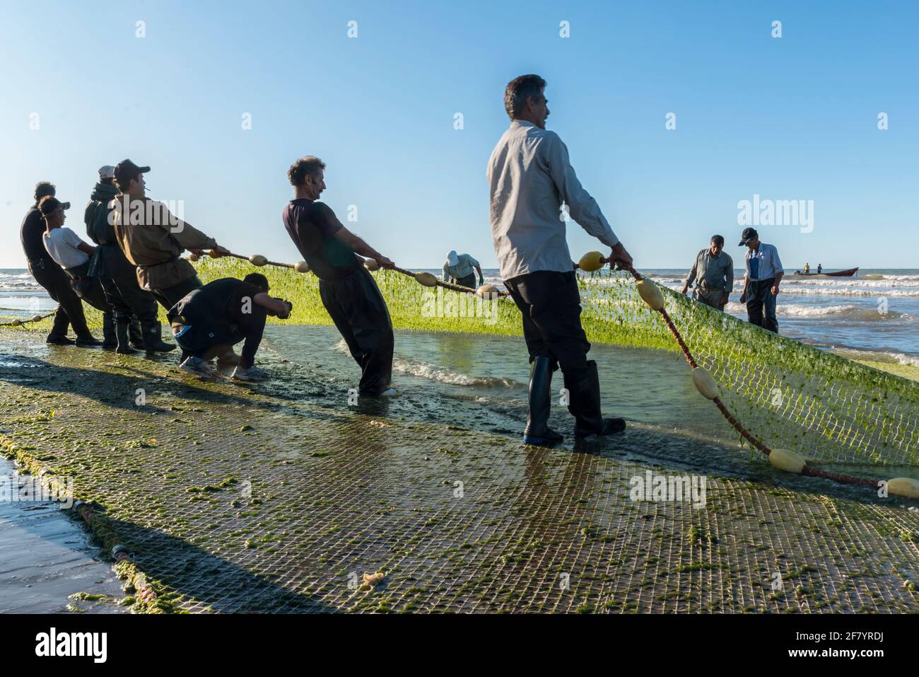 Les pêcheurs se transportent dans les prises de Babolsar sur la mer Caspienne. Iran Banque D'Images