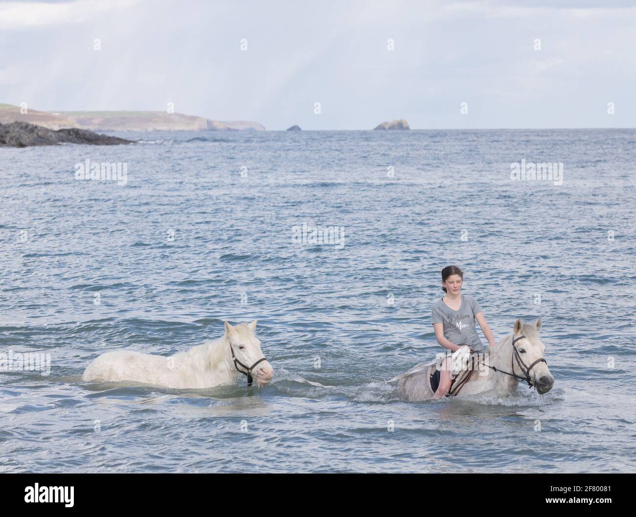 Duneen Beach, Kinsale, Cork, Irlande. 10 avril 2021. Rosie Hogan emmène son Connemara Ponies Milly et Bobby Joe sauvés pour une baignade dans la mer à Duneen Beach, Co. Cork, Irlande. - crédit; David Creedon / Alamy Live News Banque D'Images