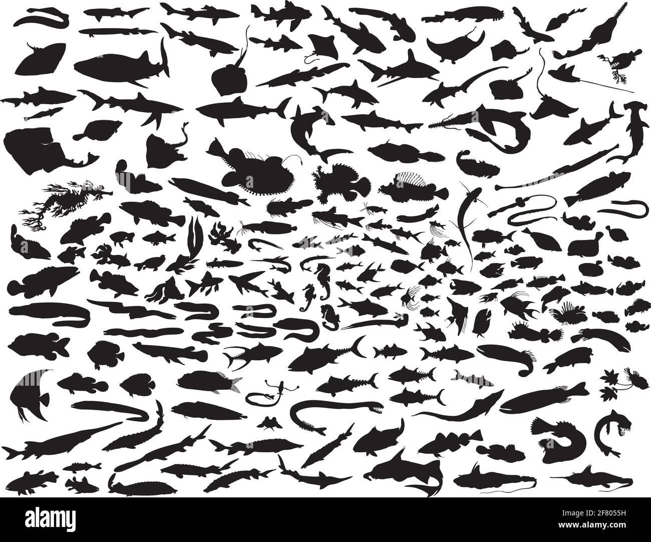Big vector collection de silhouettes de poissons différents Illustration de Vecteur