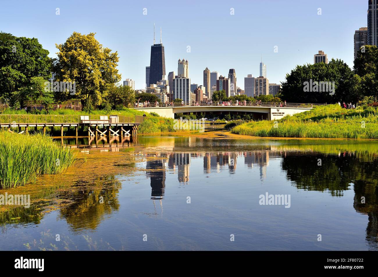 Chicago, Illinois, États-Unis. Un segment de l'horizon de la ville qui se reflète dans le South Pond au zoo de Lincoln Park en fin d'après-midi d'été. Banque D'Images
