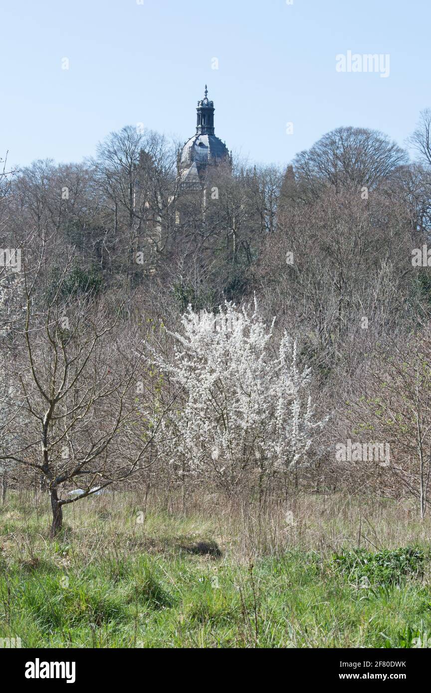 Abbaye de St Michael's, Farnborough au printemps Banque D'Images