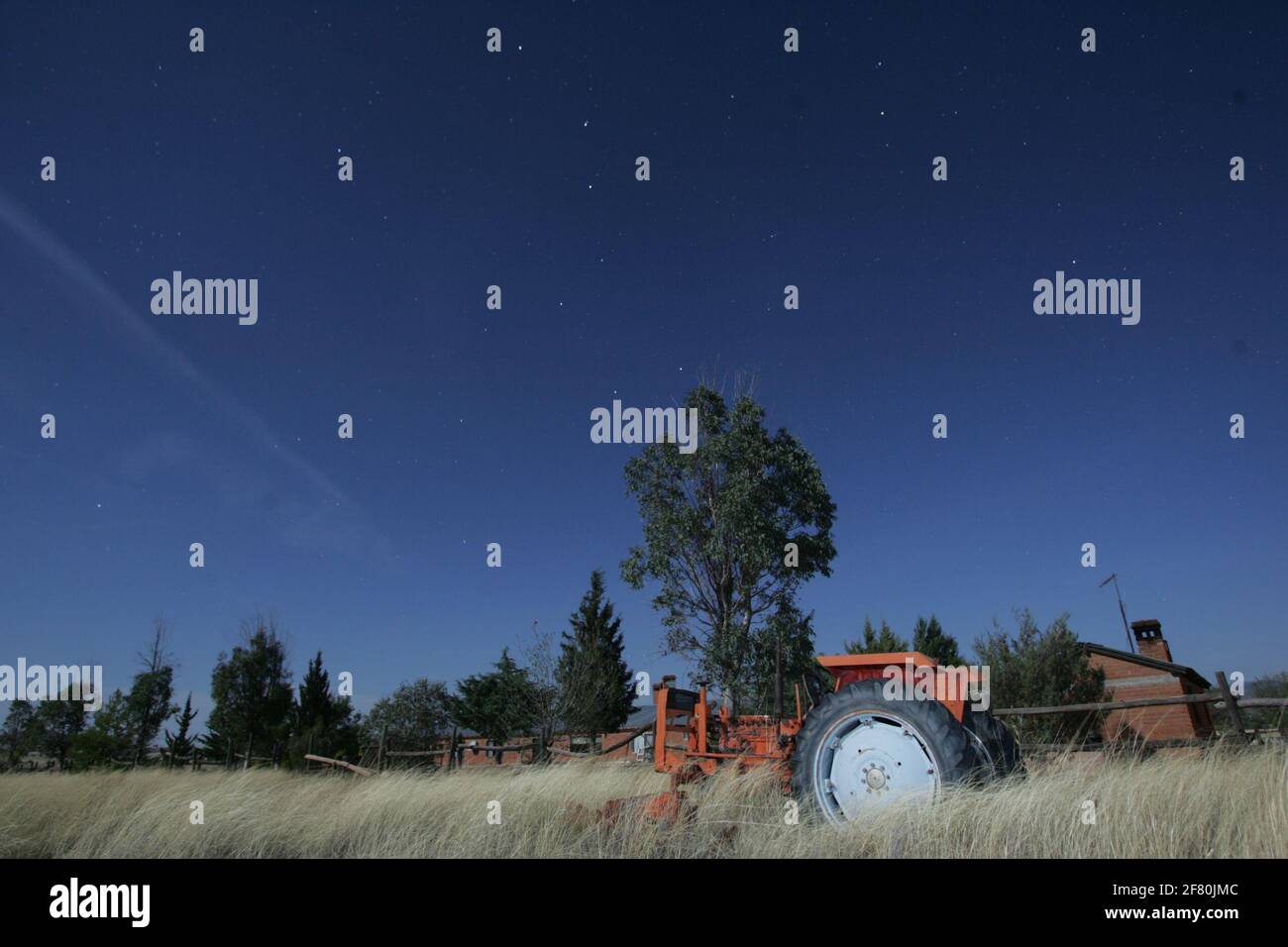 El pasado 13 de Mayo se llevo acabo el festejo del dia mundial de la aves con fines de conservacion une cargaison de BDA (Biodiversidad y Desarrollo Arm—nico AC. ) y la Comisi—n Nacional Forestal en el Rancho €Los Fresnos ® ubicado en la franja fronteriza con el estado de Arizona al norte de Cananea. La Cuenca del R’o San Pedro en Sonora aporta a la Biodiversidad del Rancho Los Fresnos, dicha cuenca es hist—ricamente reconocida por ser un corredor naturel de mas de 200 espacies de aves. Banque D'Images