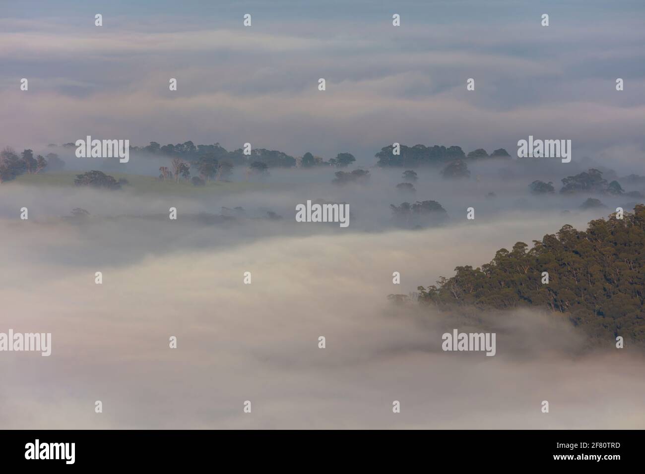 Brouillard dans la vallée de Megalong dans les Blue Mountains dans Nouvelle-Galles du Sud en Australie Banque D'Images
