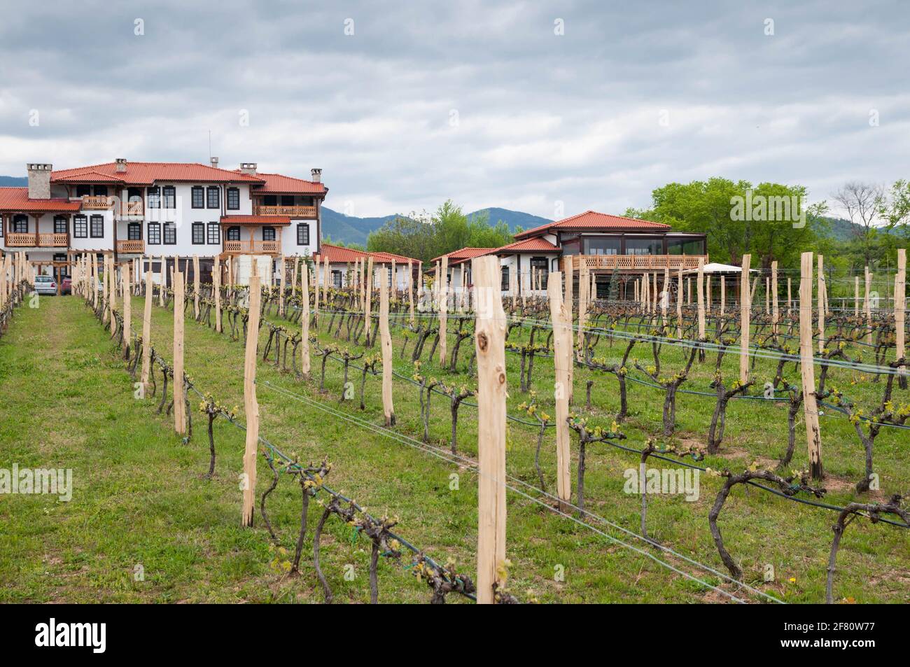 The Vineyard at Wine & Spa Complex Starosel, Bulgarie Banque D'Images