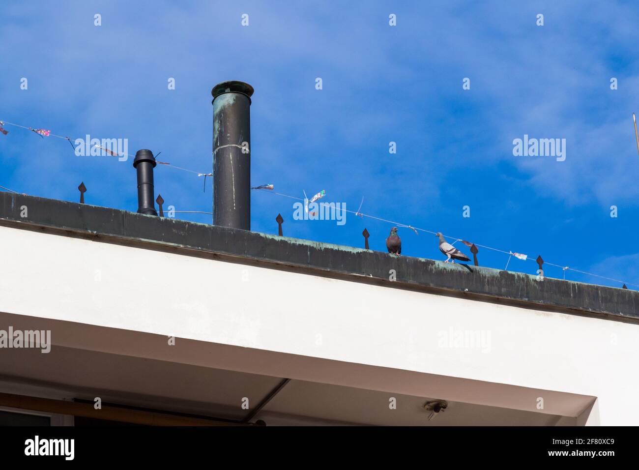 Corde anti-pigeon avec rubans scintillants sur le toit de la maison avec des pigeons courageux, Sopron, Hongrie Banque D'Images