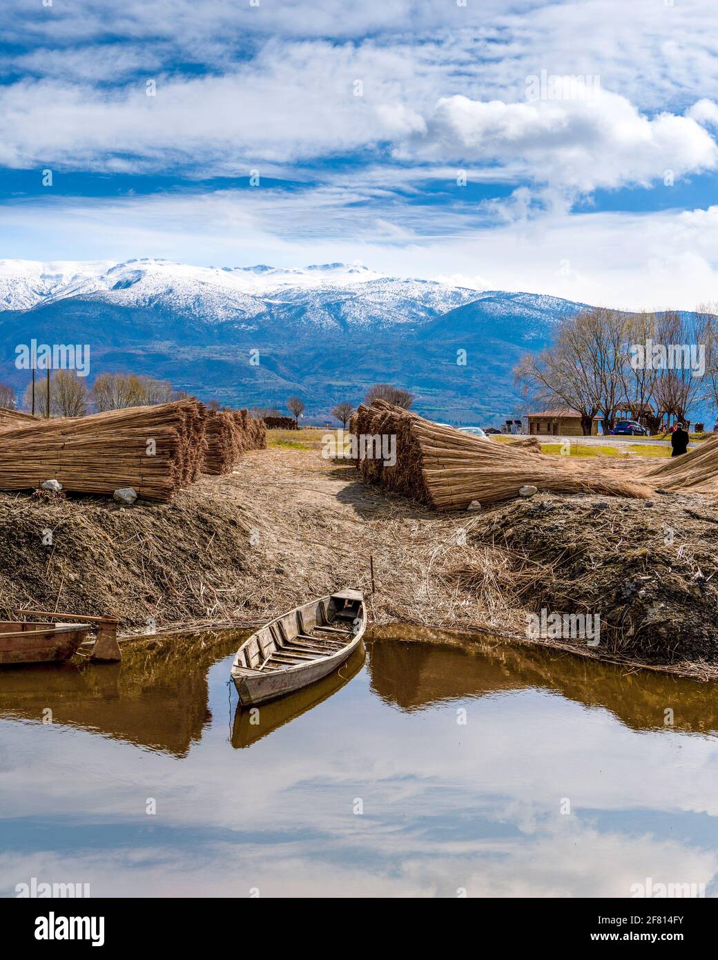 Canne récoltée en pieux, lac Eber, Cay, Afyonkarahisar, Turquie Banque D'Images