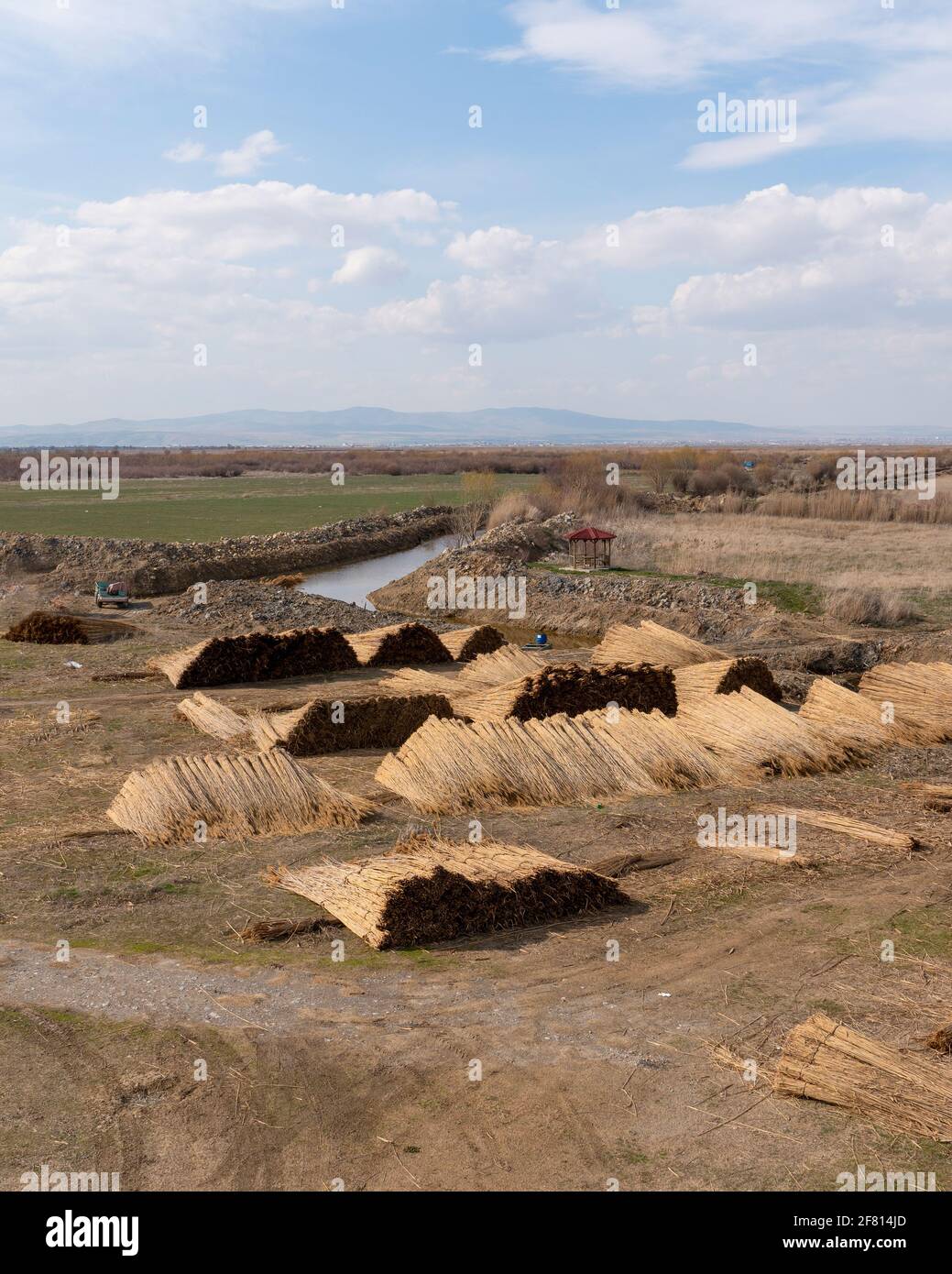 Canne récoltée en pieux, lac Eber, Cay, Afyonkarahisar, Turquie Banque D'Images