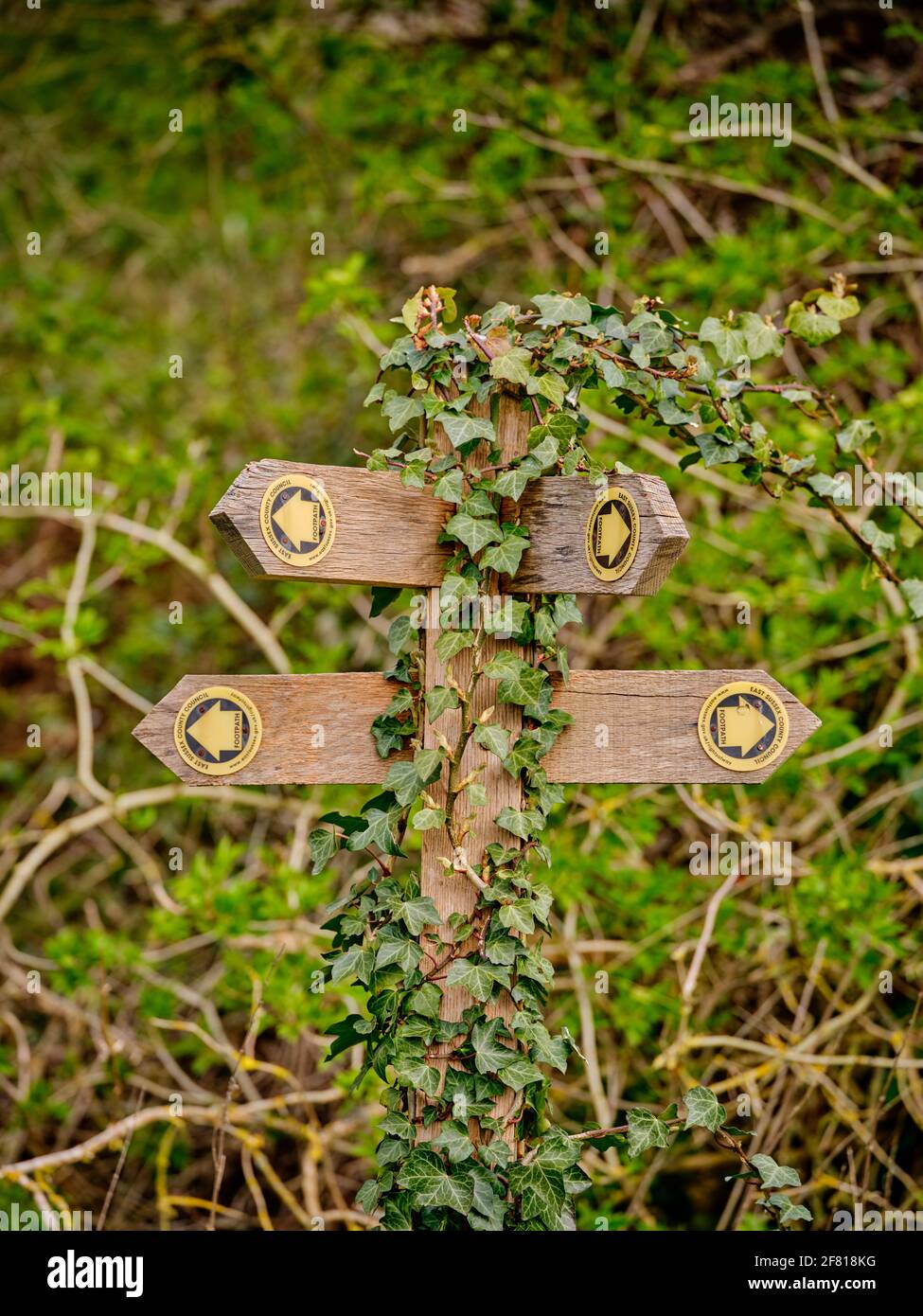 Ivy grandit sur un panneau de sentier public près de Pevensey, East Sussex, Royaume-Uni Banque D'Images