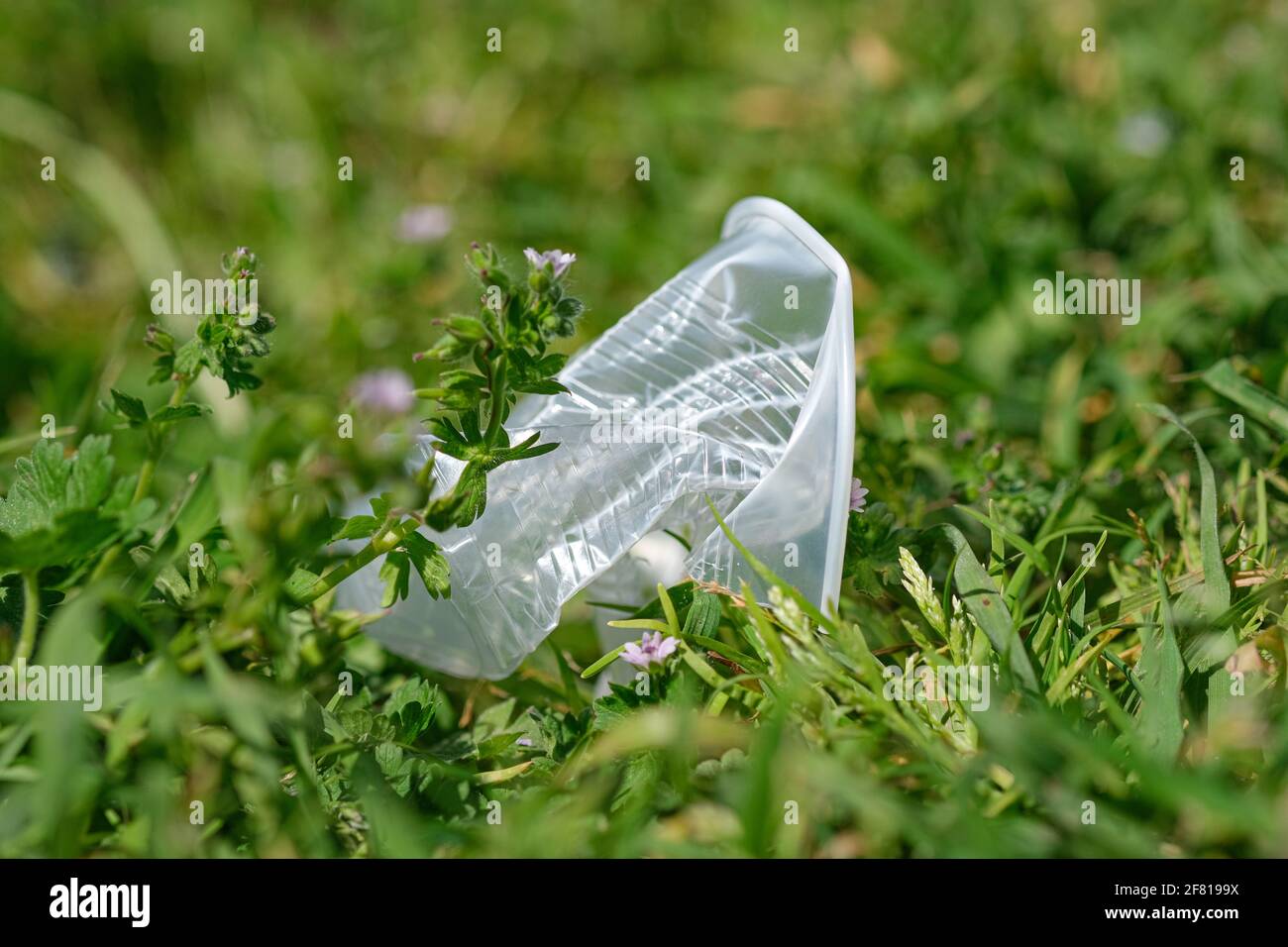 Gobelet en plastique jetable jeté sur le sol de prairie, pollution des déchets d'envinronment Banque D'Images