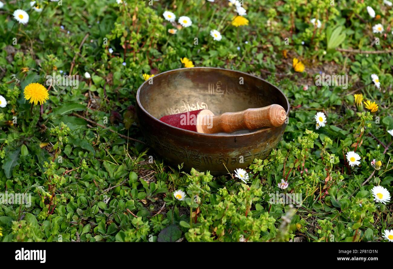 Bol de chant tibétain dans l'herbe. Traduction anglaise de mantras :  transformez votre corps impur Photo Stock - Alamy