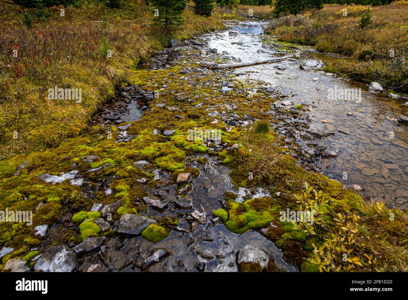 paysage de rivière et d'automne dans les montagnes Banque D'Images