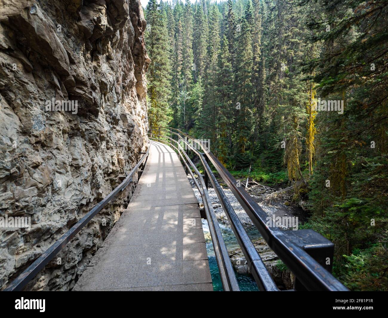 Chemin piétonnier au milieu d'un canyon avec un forêt de pins et rivière Banque D'Images