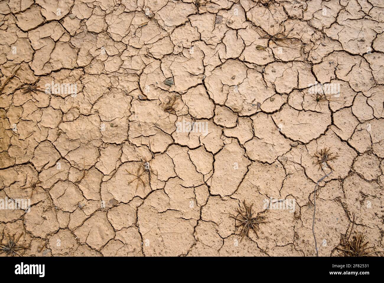 Masse sèche et fissurée. Texture avec motifs naturels. Banque D'Images