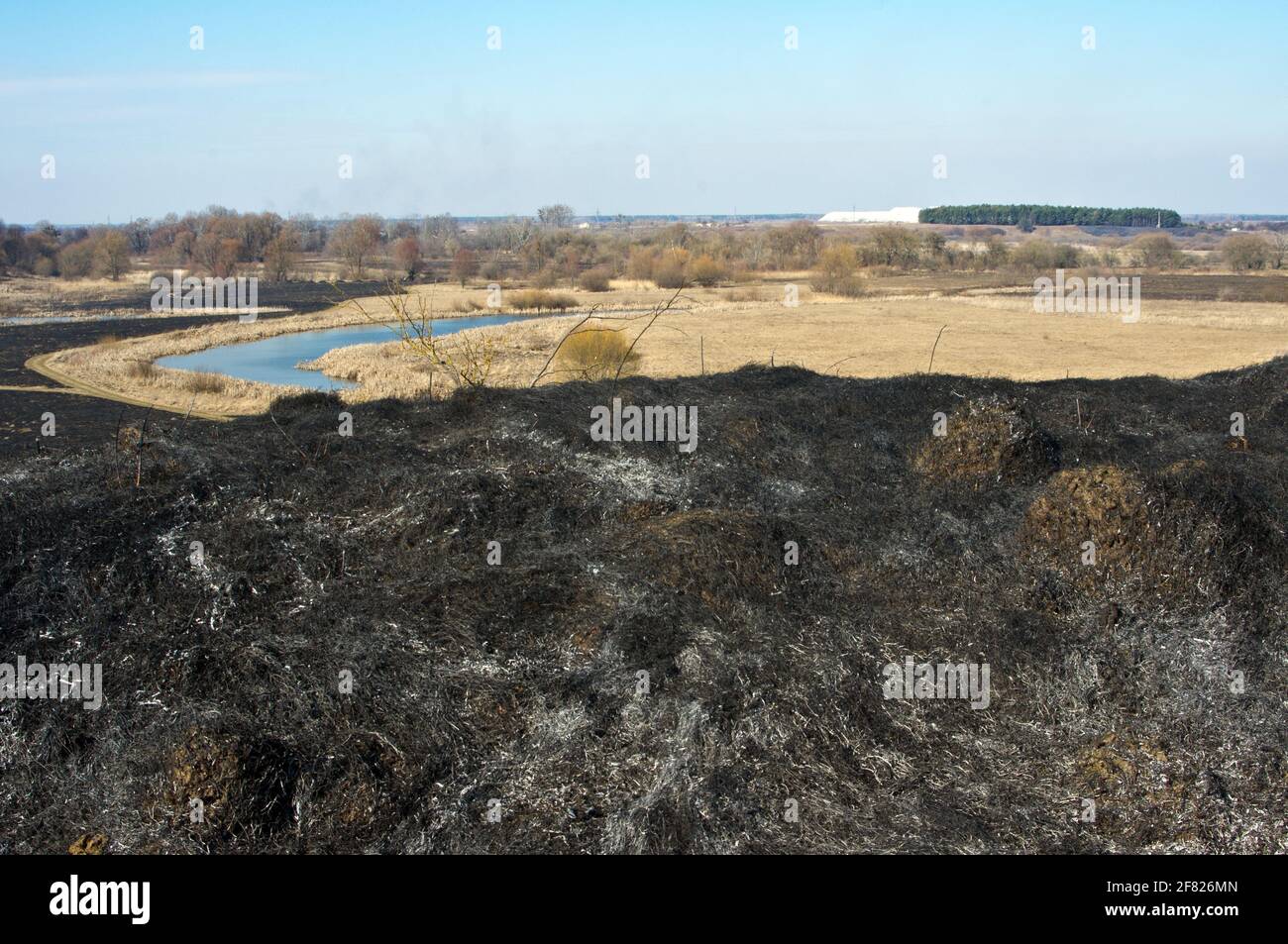 Terre brûlée, herbe brûlée, cendres. Arrière-plan spectaculaire Banque D'Images