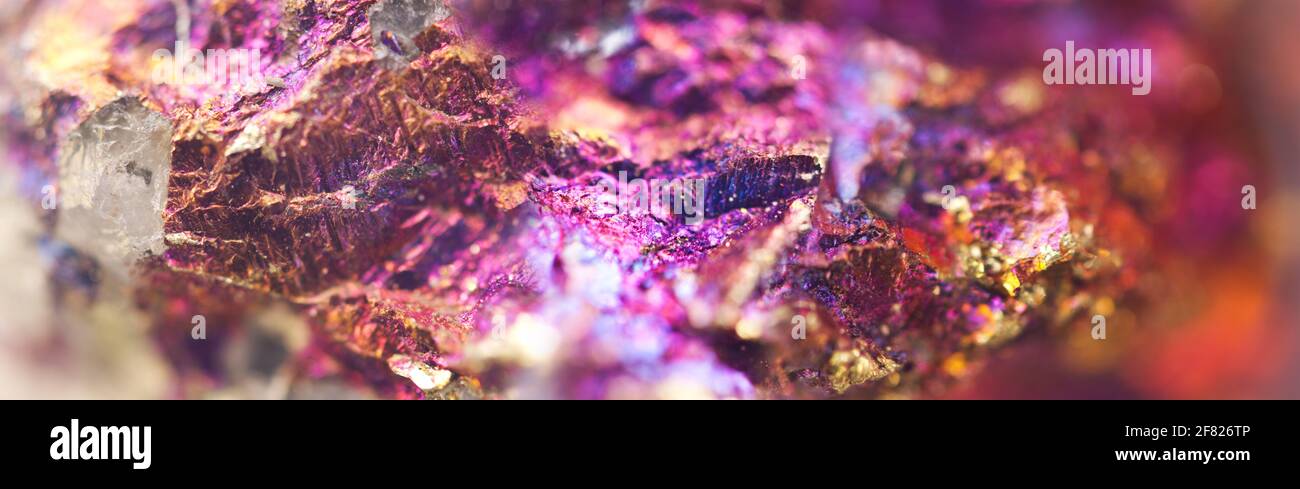 Bornite, fond coloré, nugget en métal. Minéraux de texture. Magnifique fond de couleur naturelle rose-violet. Très gros plan, magnifique bijou backgro Banque D'Images