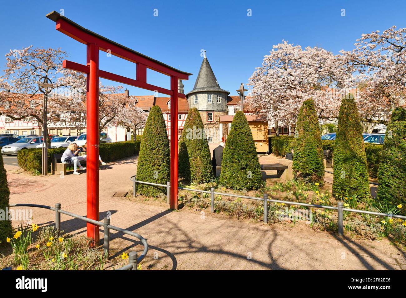 Hofheim, Allemagne - mars 2021 : porte traditionnelle japonaise « Torii » et cerisiers japonais en fleurs dans le centre historique de Hofheim Banque D'Images