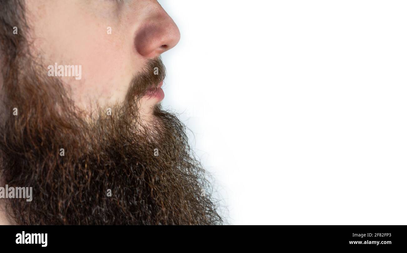 Jeune homme adulte isolé avec une longue barbe et une moustache sur fond blanc Banque D'Images