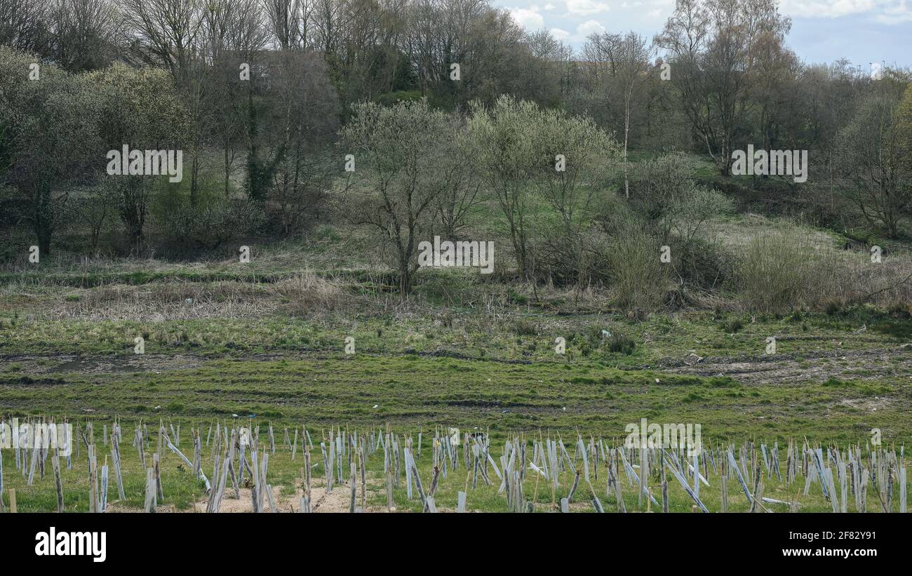 Vues de divers espaces topographiques. Banque D'Images