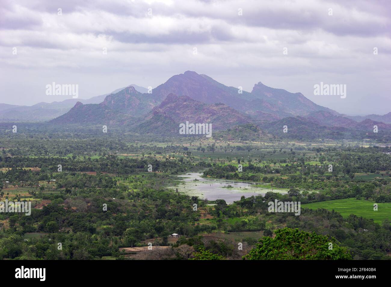 Sigiriya est situé au cœur de l'île, entre les villes de Dambulla Dambulla et sur un énorme plateau rocheux 370 mètres au-dessus du niveau de la mer. Banque D'Images
