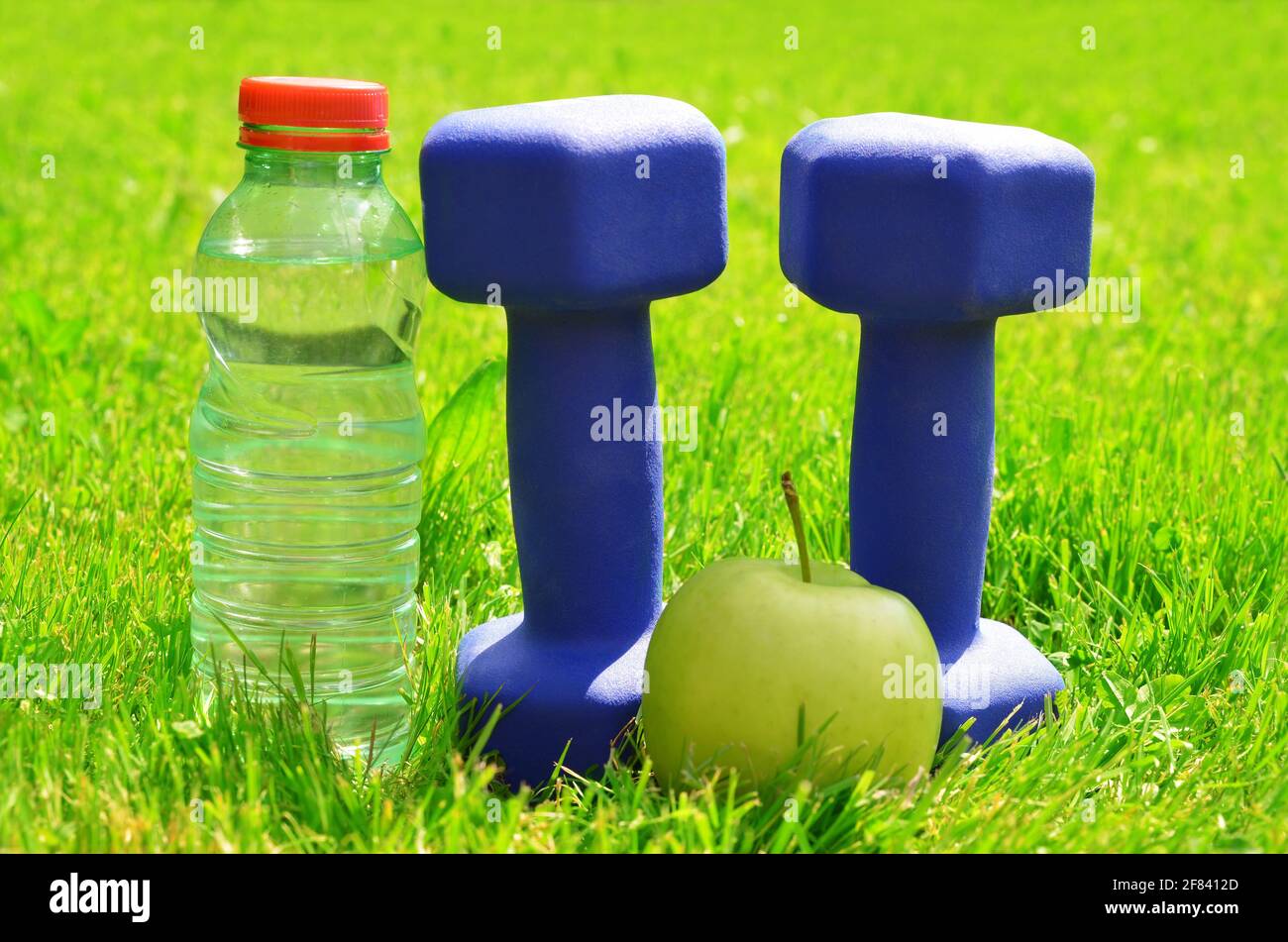 Haltères avec pomme et bouteille avec eau dans l'herbe. Concept de mode de vie sain. Banque D'Images