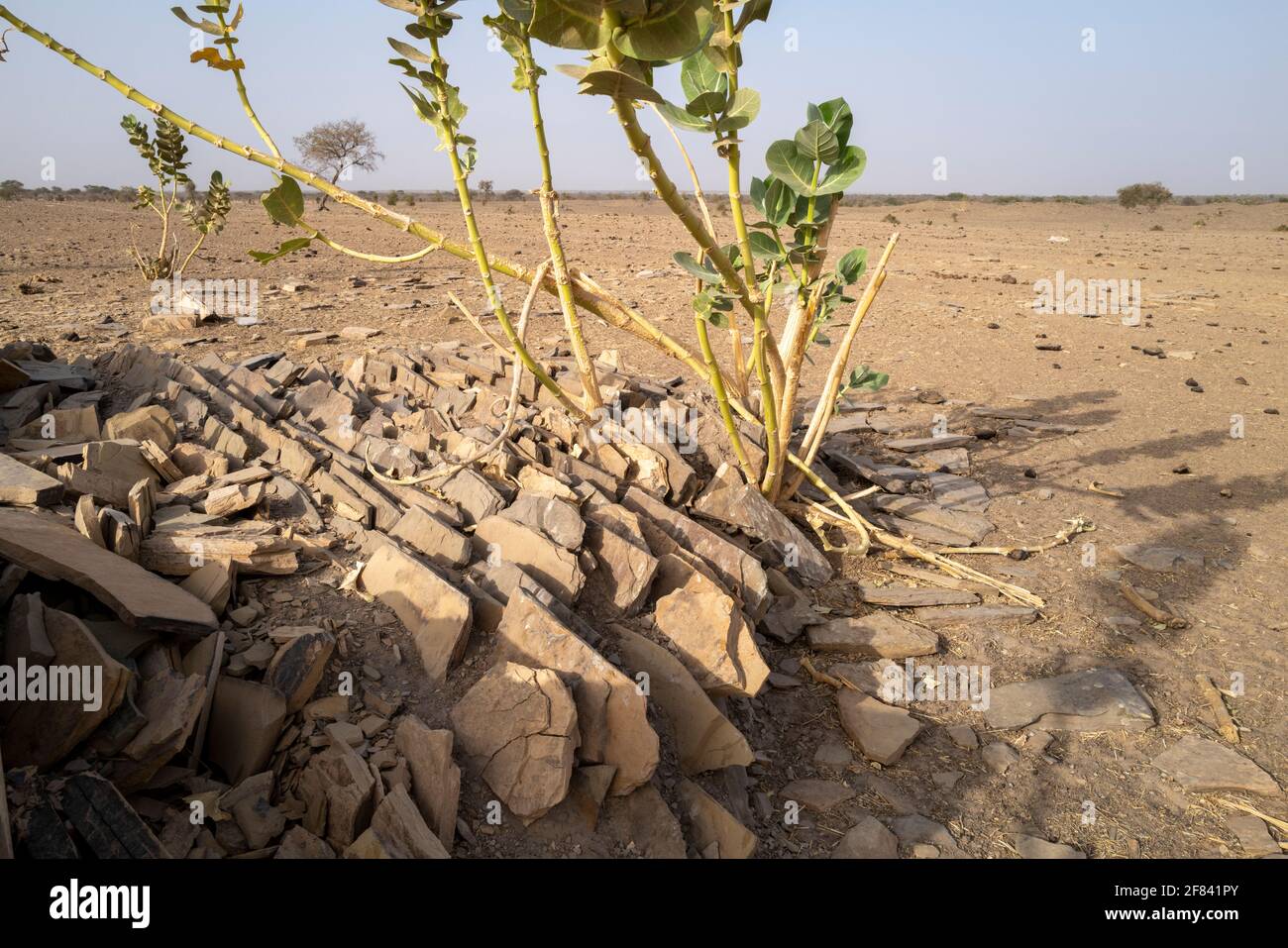 Vestiges archéologiques de Kumbi Saleh, la dernière capitale de l'ancien royaume du Ghana, région de Hodh ECH Chargui, Mauritanie Banque D'Images