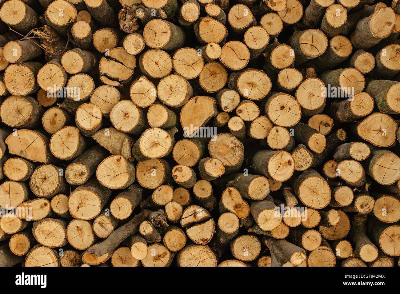 Détail texture bois. Pile de bois de chauffage. Pile de billes de bois stockées pour l'hiver. Mur de bois. Fond naturel en bois. Stockage de bois de chauffage sec haché Banque D'Images
