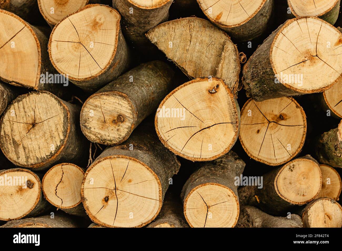 Mise au point sélective des détails de texture du bois. Pile de bois de chauffage. Pile de billes de bois stockées pour l'hiver. Mur de bois. Arrière-plan en bois. Stockage de hachés secs Banque D'Images