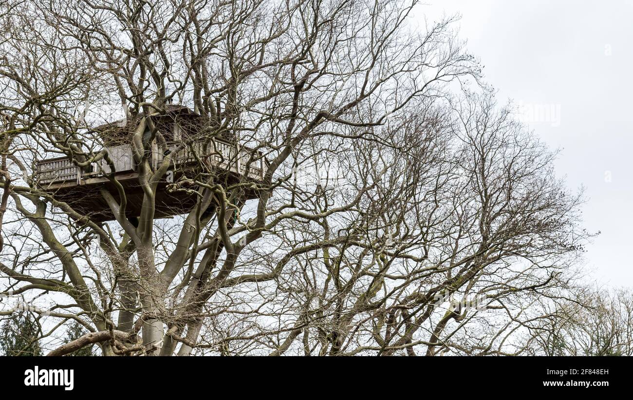 Treehouse haut dans l'air dans un arbre Banque D'Images