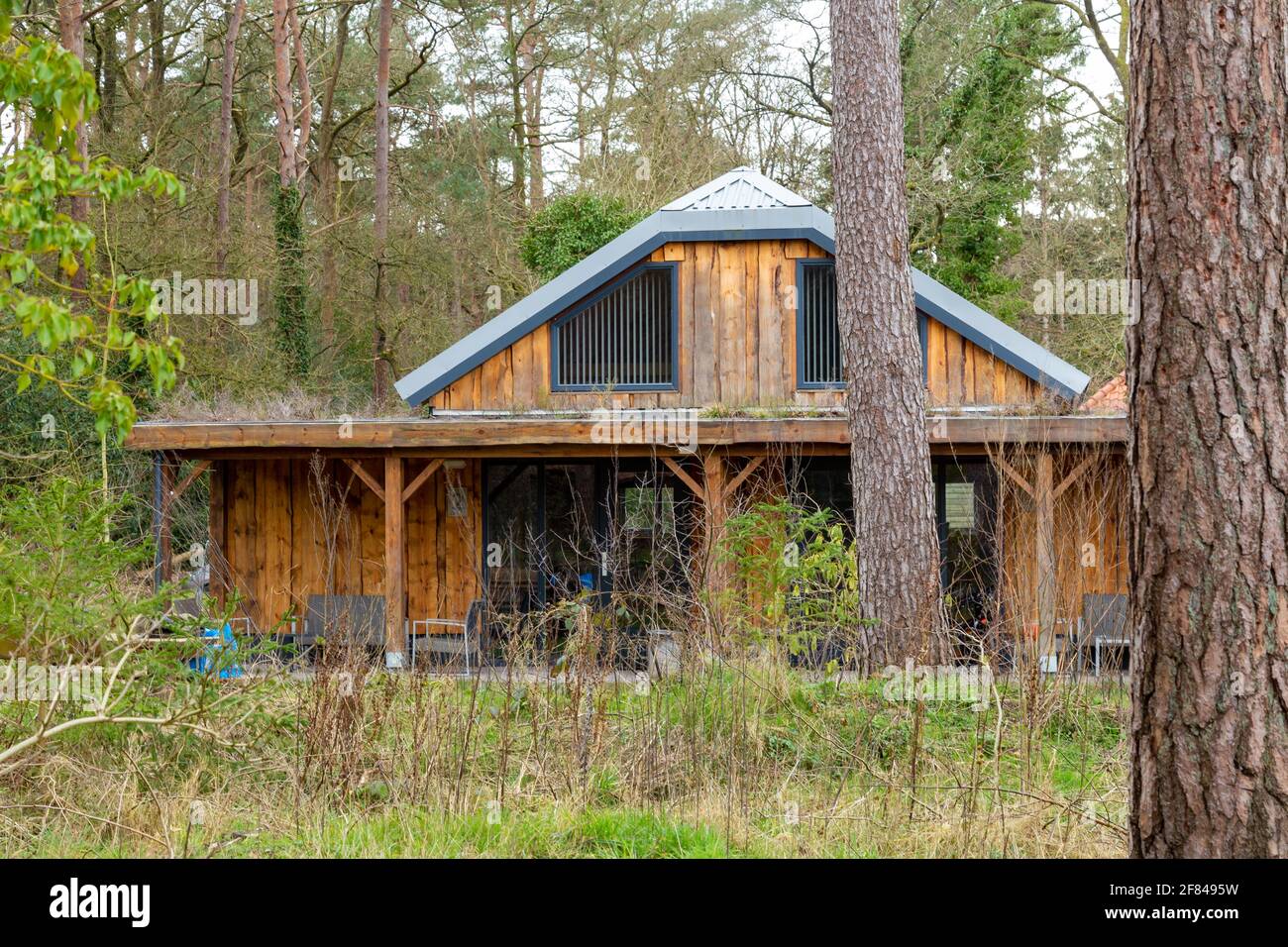 Confortable maison de vacances en bois dans la forêt Banque D'Images
