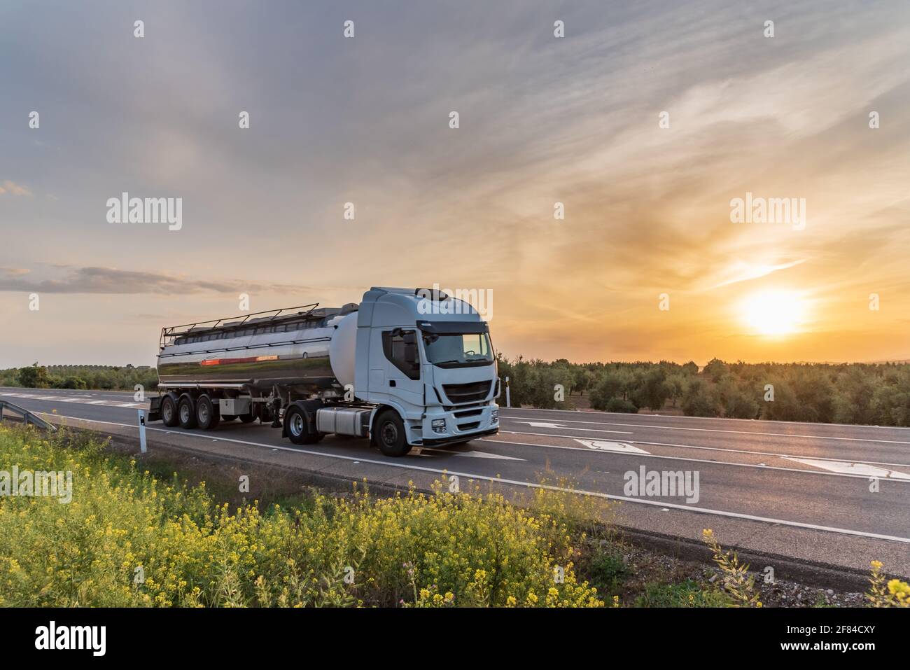 Camion-citerne pour le transport de liquides alimentaires circulant sur la route avec un champ d'oliviers en arrière-plan. Banque D'Images