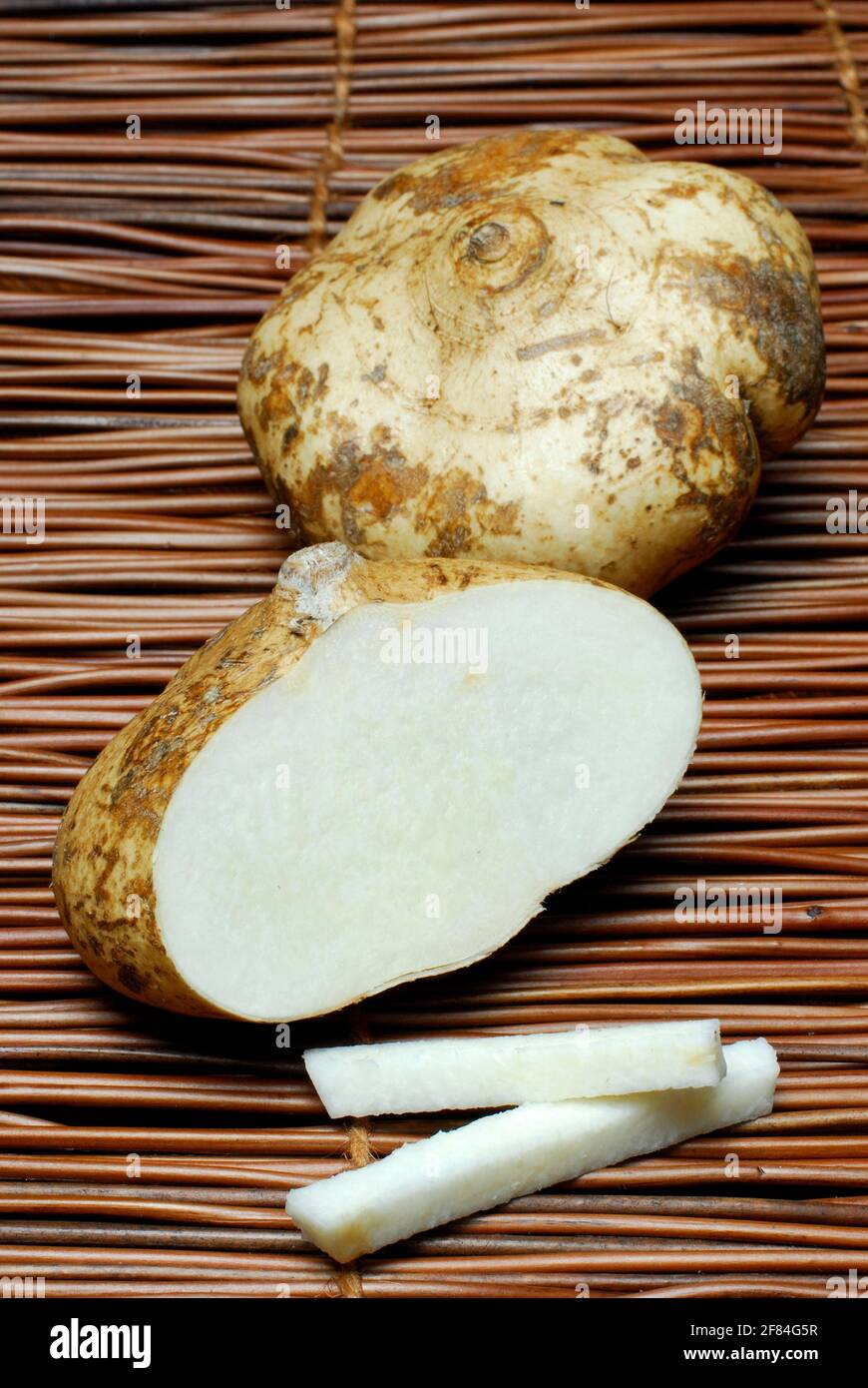 Pachyrhizus erosus (Pachyrhizus erosus) bulbe racinaire, benkuang, jicama, tubercule Banque D'Images