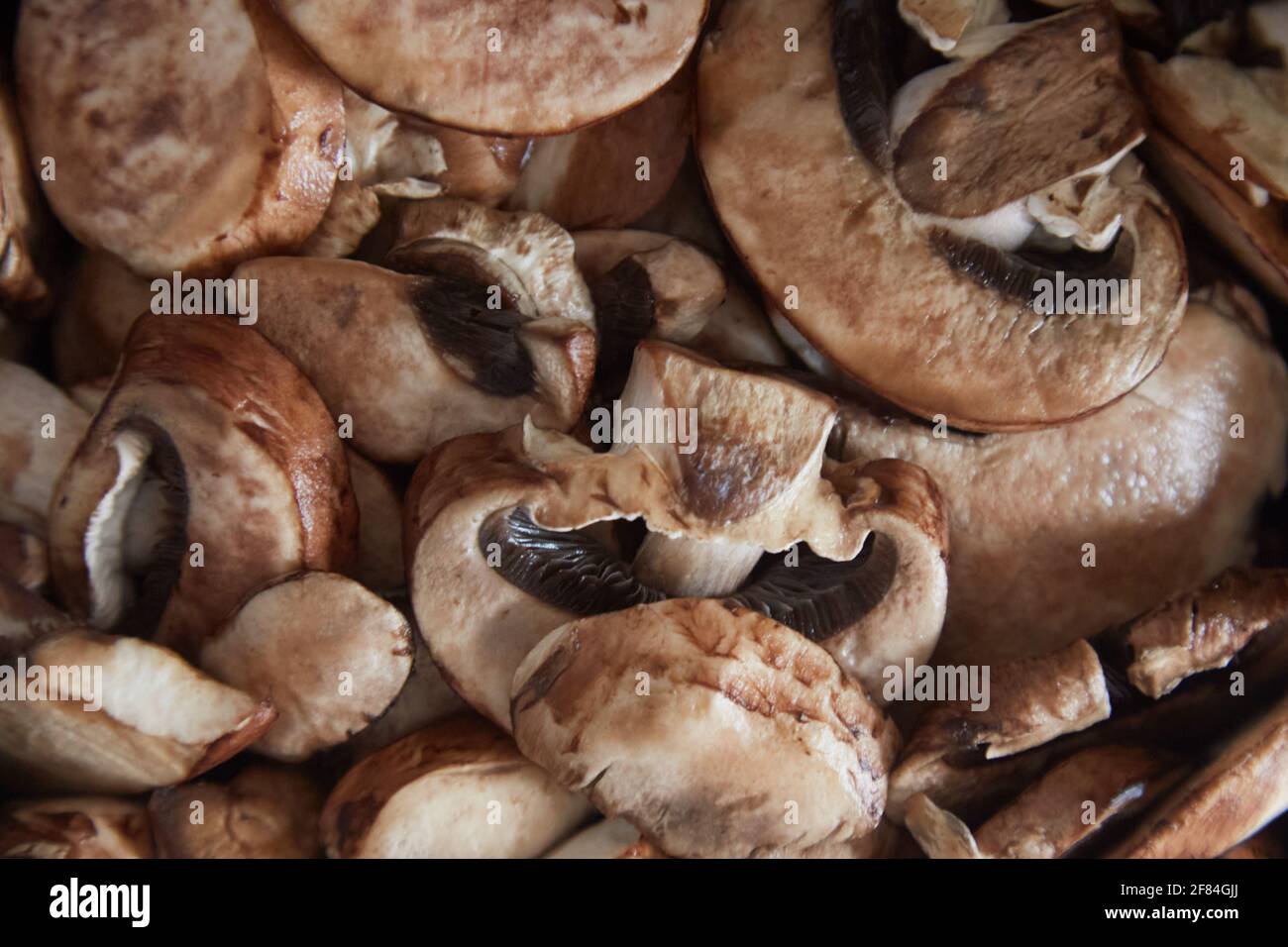 Plein cadre de mini-crème en tranches gros plan Banque D'Images