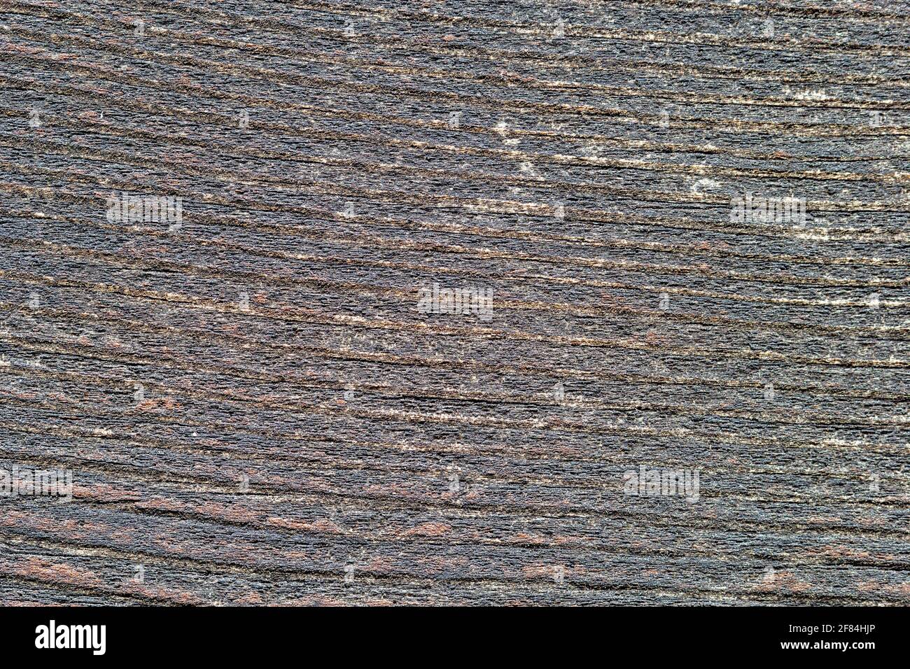 Panneau gris, texture du bois, fond en bois, endommagé. Gros plan, macro. Banque D'Images