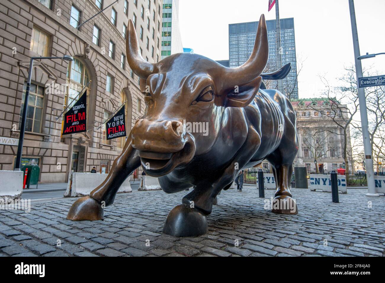 Bullenfigur vor der Boerse, Charging Bull, Auch Wall Street Bull oder Bowling Green Bull, Bourse de New York, Wall Street, quartier financier Banque D'Images