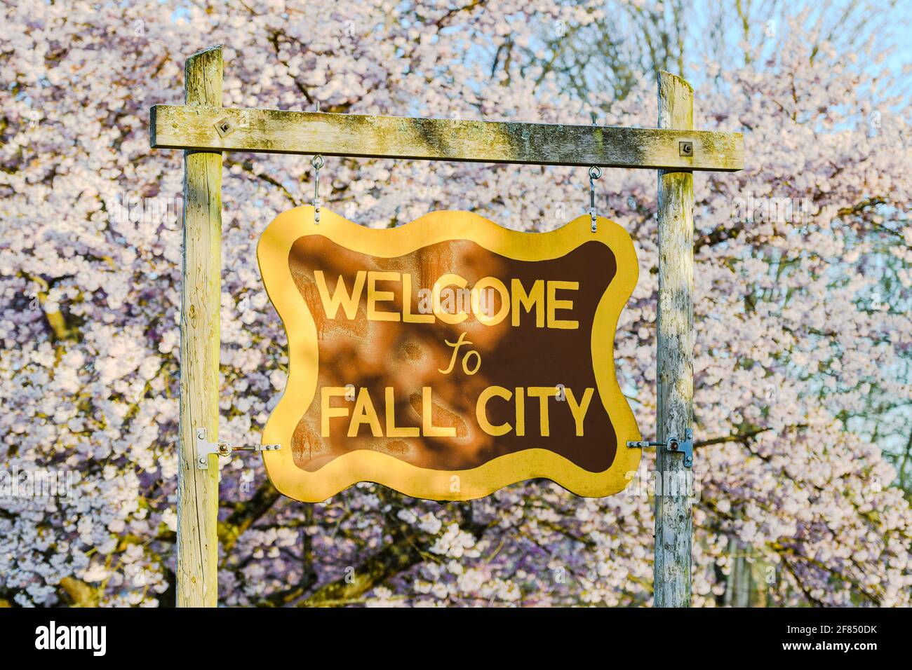 Fall City, WA, États-Unis - 11 avril 2021 ; Bienvenue au panneau Fall City, appuyé par des cerisiers en fleurs dans la vallée de Snoqualmie, dans le comté d'East King, Washington Banque D'Images