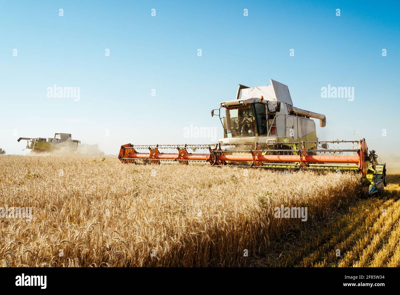 La moissonneuse-batteuse récolte du blé mûr. Concept d'une récolte riche. Image Agriculture Banque D'Images
