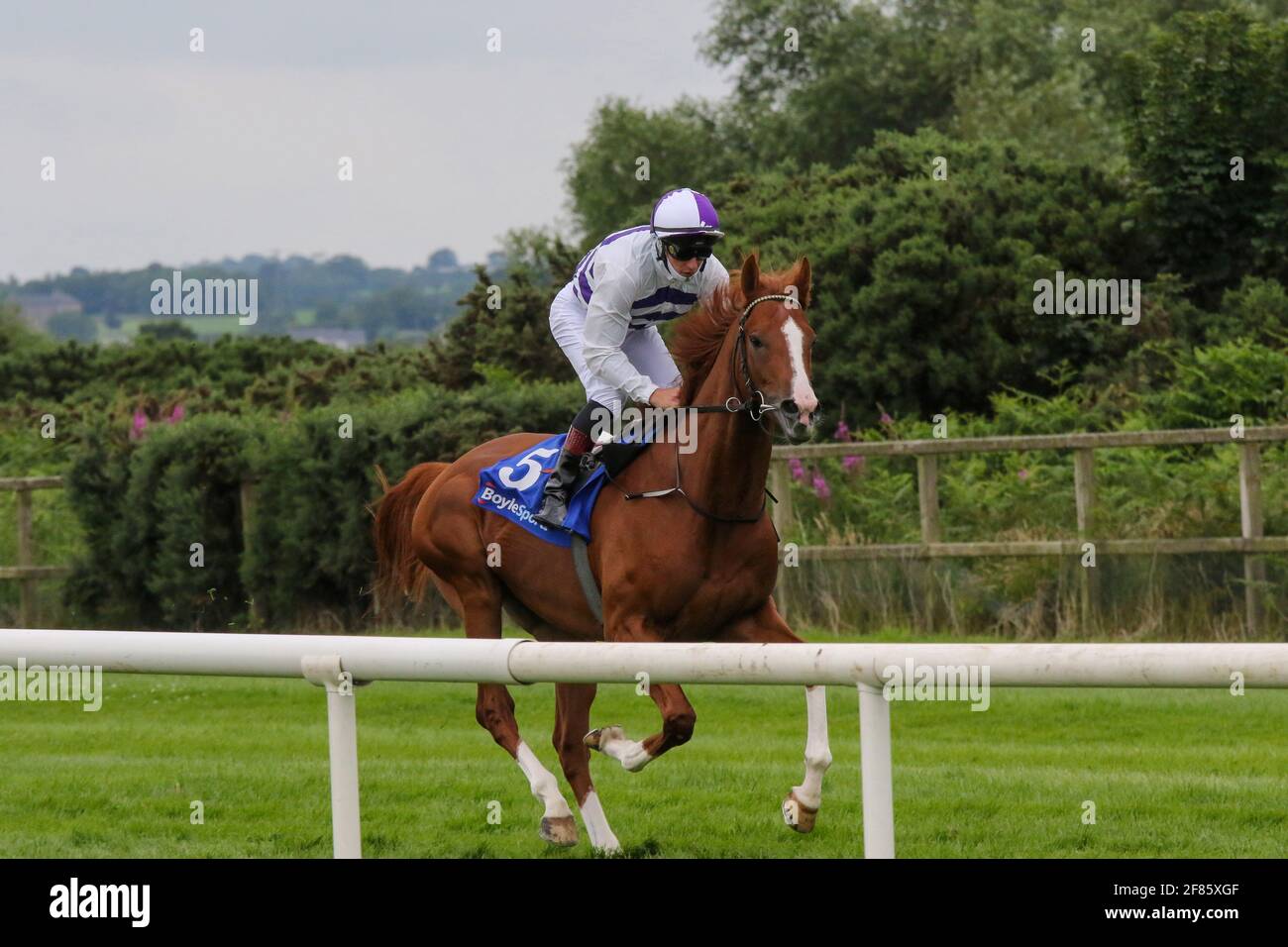 Courses hippiques au Royaume-Uni et en Irlande. Down Royal Racecourse, Lisburn, Irlande du Nord. 24 juillet 2020. BoyleSports Ulster Derby (Premier handicap) tenu derrière des portes fermées. Cheval de course Red Kelly monté par Shane B Kelly, formé par J P Murtagh et détenu par Red Kelly Syndicate. Banque D'Images