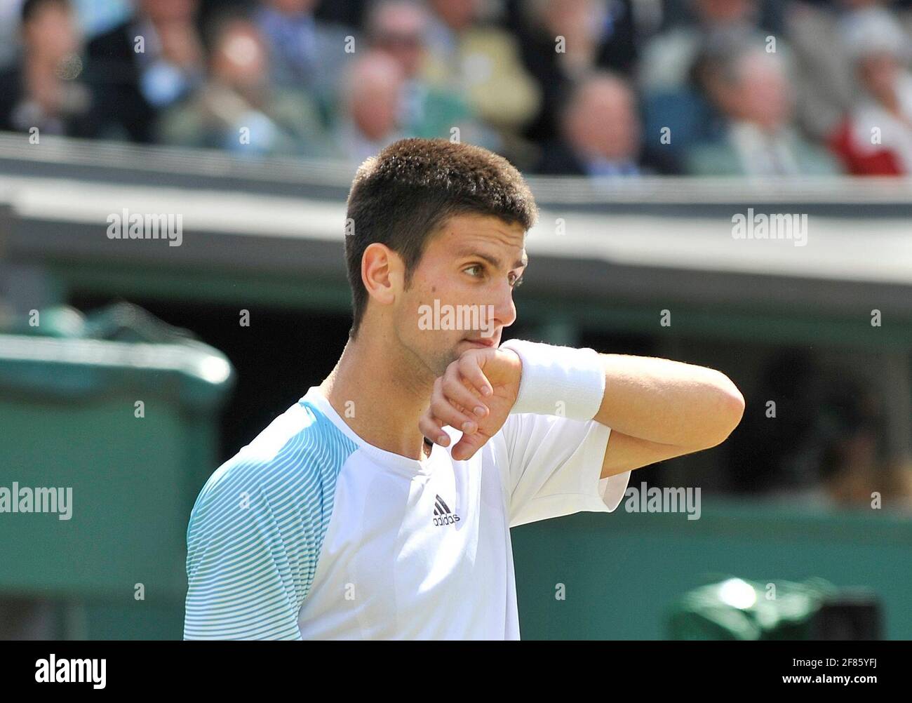 CHAMPIONNATS DE TENNIS DE WIMBLEDON 2008. 3E JOUR 25/6/2008 N.DLOKOVIC PENDANT SON MATCH AVEC M.SAFIN. PHOTO DAVID ASHDOWN Banque D'Images