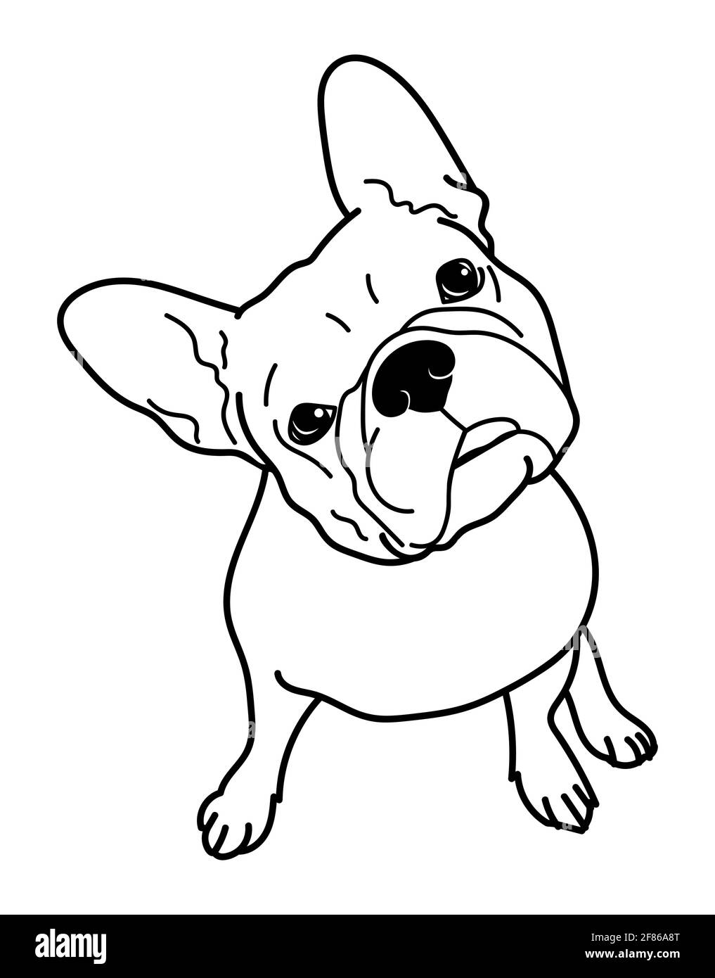 Bulldog français dans une posture drôle, curieux, isolé sur fond blanc, illustration vectorielle, Illustration de Vecteur