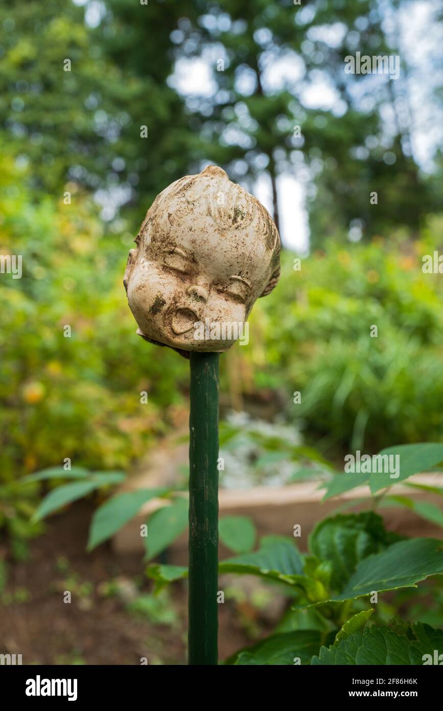 Une tête de poupée sur un poteau dans le jardin Banque D'Images