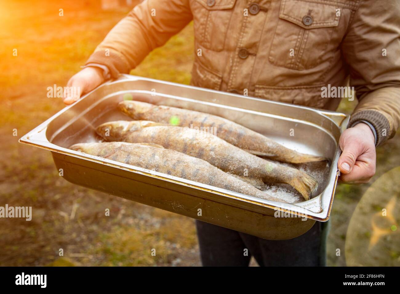 Poisson de rivière cru fraîchement pêché sur une palette dans le bras d'un pêcheur. Un homme tient un conteneur avec de la bream fraîche. Pêche, plateau métallique avec de la riv fraîche Banque D'Images