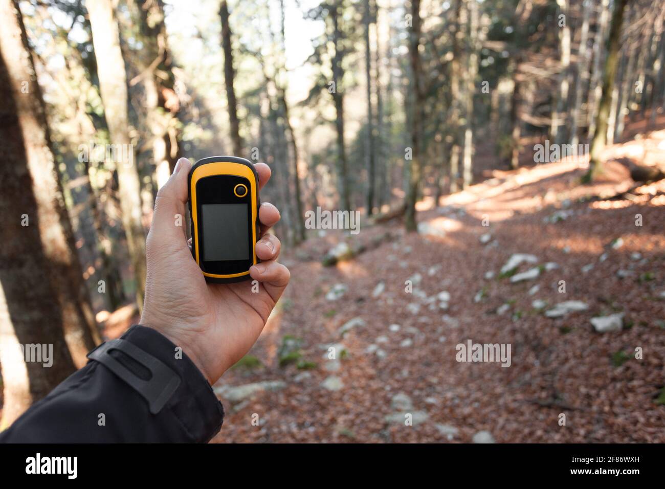 Trouver la bonne position dans la forêt via gps Banque D'Images