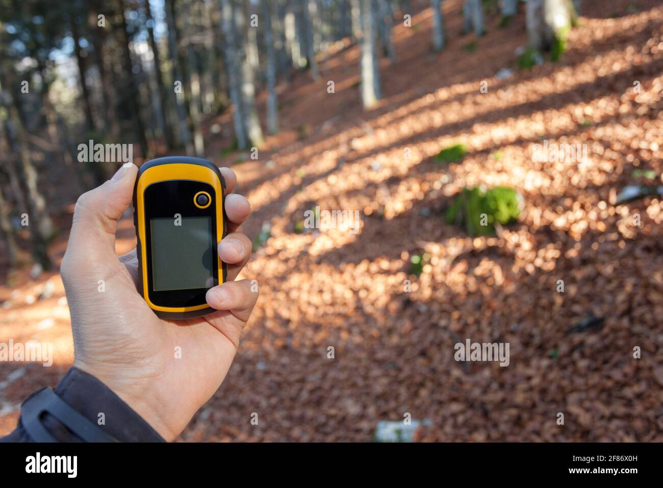 Trouver la bonne position dans la forêt via gps Banque D'Images