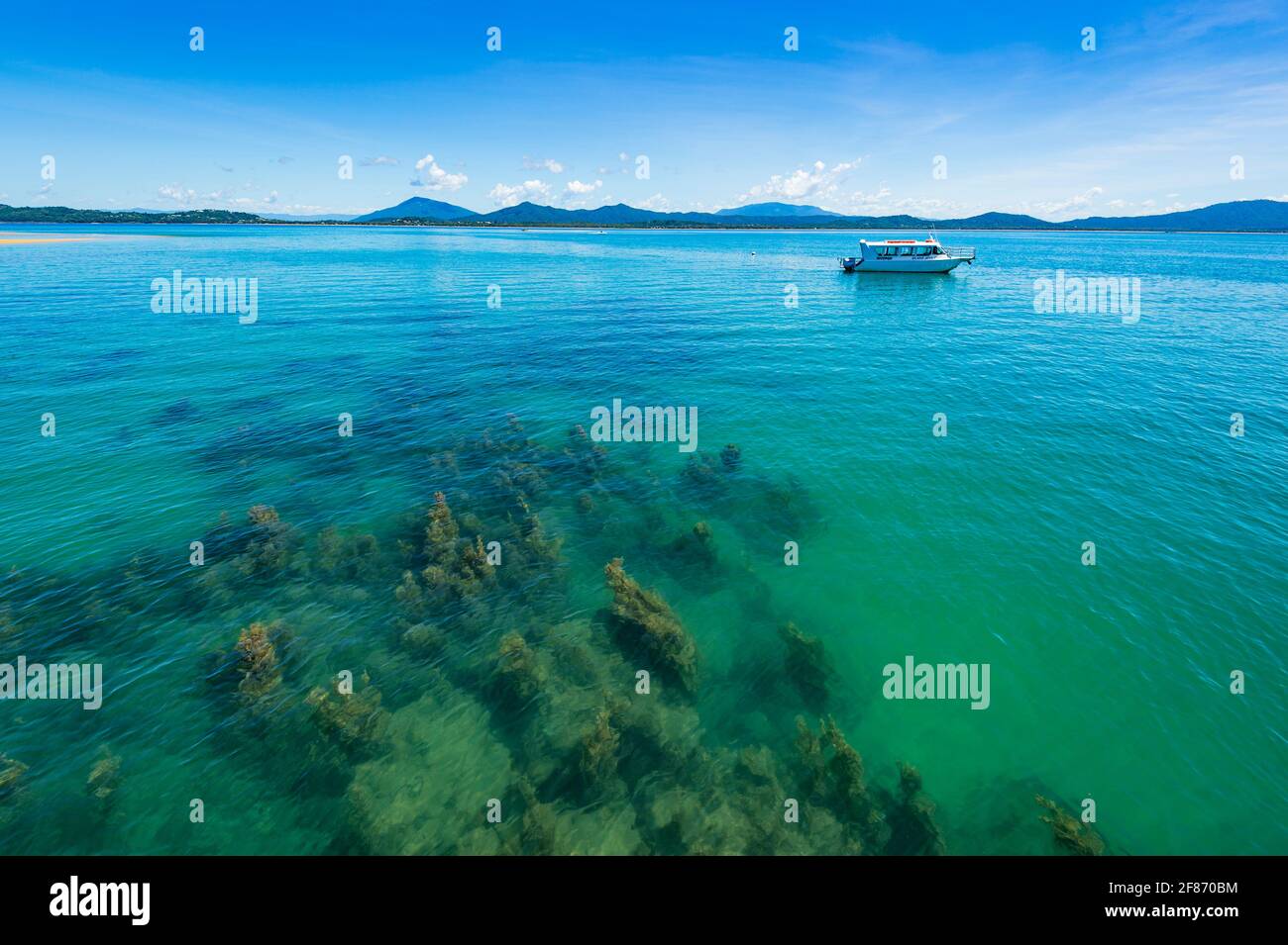 Eaux turquoises et herbes marines à Dunk Island, Queensland, Queensland, Australie Banque D'Images