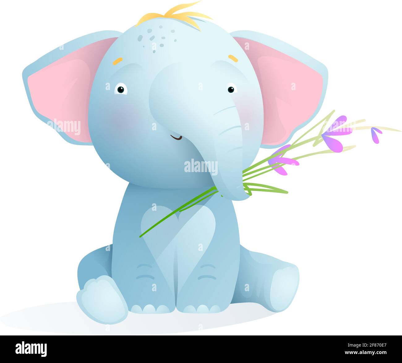 Elephant Watercolor Banque D Image Et Photos Alamy