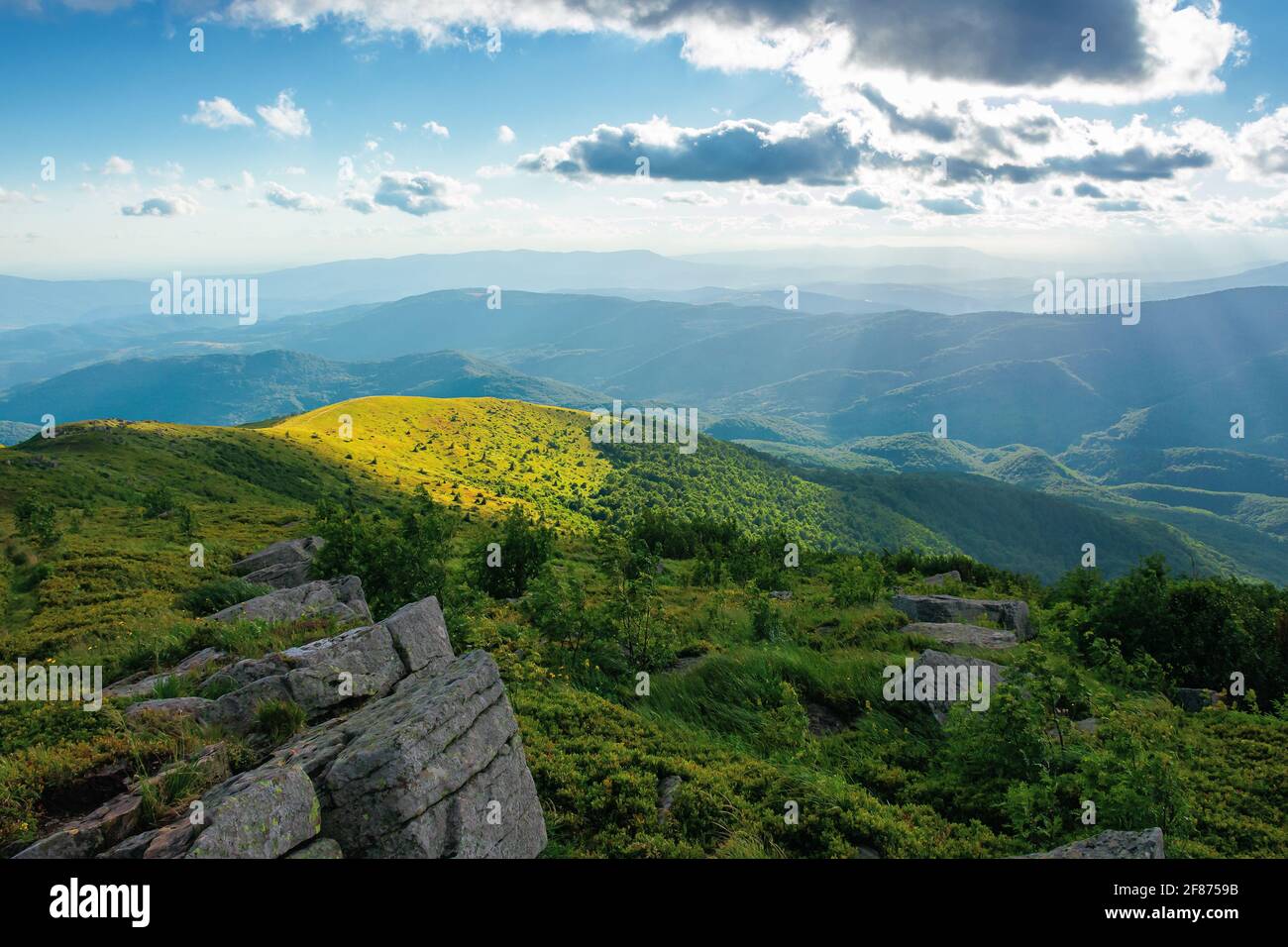 prairie alpine des montagnes carpathes en été. vue sur la vallée éloignée dans la lumière de l'après-midi. beau paysage de nature ensoleillé avec des nuages sur le Banque D'Images